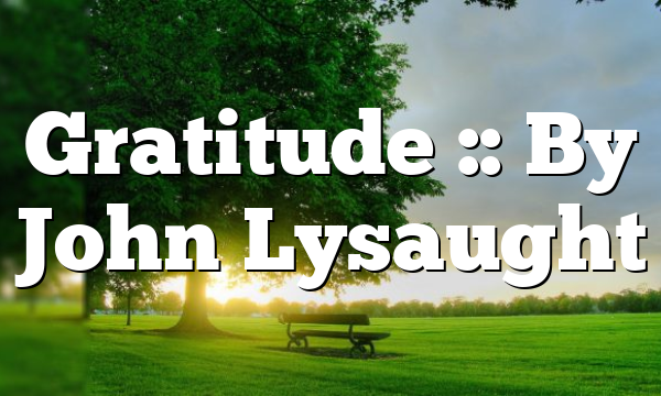 Gratitude :: By John Lysaught