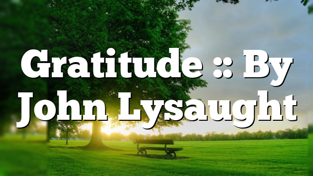 Gratitude :: By John Lysaught