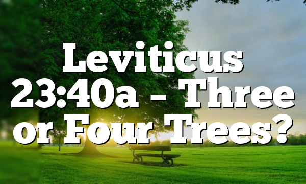 Leviticus 23:40a – Three or Four Trees?