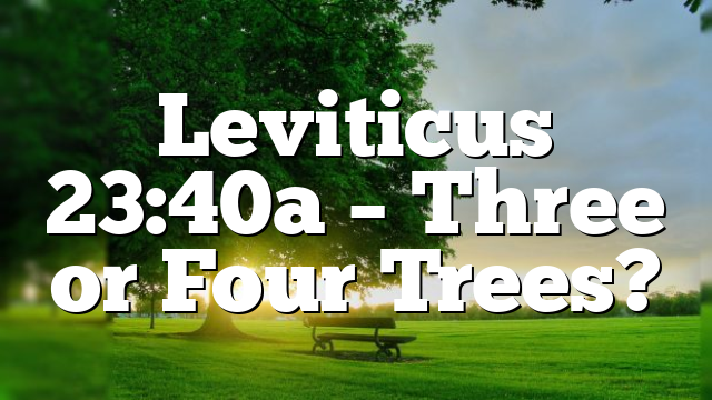 Leviticus 23:40a – Three or Four Trees?