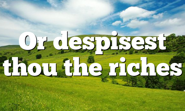 Or despisest thou the riches