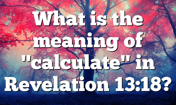 What is the meaning of "calculate" in Revelation 13:18?