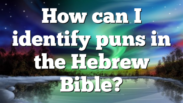 How can I identify puns in the Hebrew Bible?