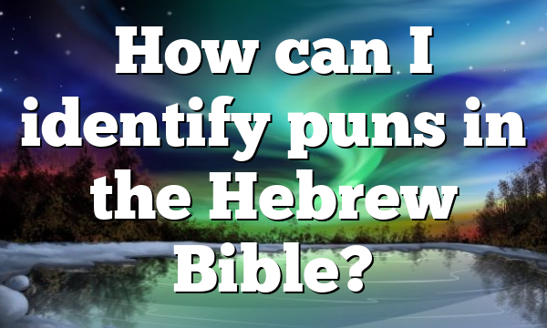 How can I identify puns in the Hebrew Bible?