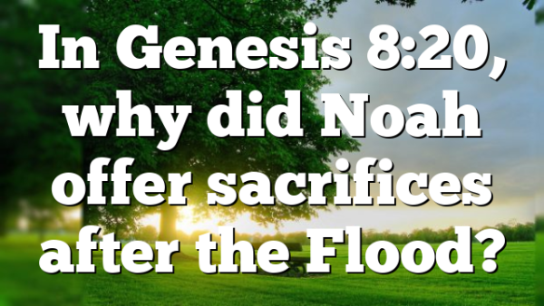 In Genesis 8:20, why did Noah offer sacrifices after the Flood?