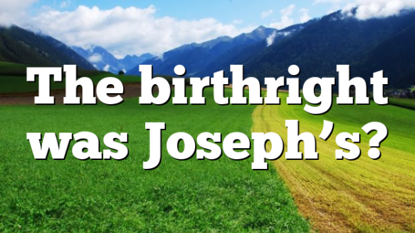 The birthright was Joseph’s?