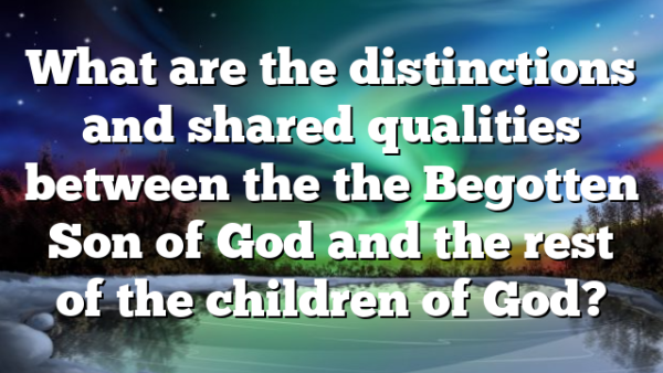 What are the distinctions and shared qualities between the the Begotten Son of God and the rest of the children of God?