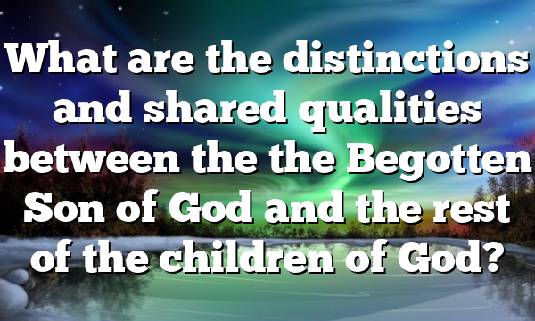 What are the distinctions and shared qualities between the the Begotten Son of God and the rest of the children of God?