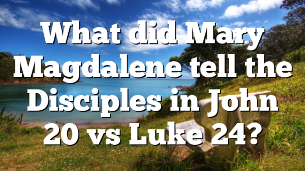 What did Mary Magdalene tell the Disciples in John 20 vs Luke 24?