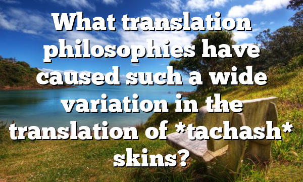 What translation philosophies have caused such a wide variation in the translation of *tachash* skins?