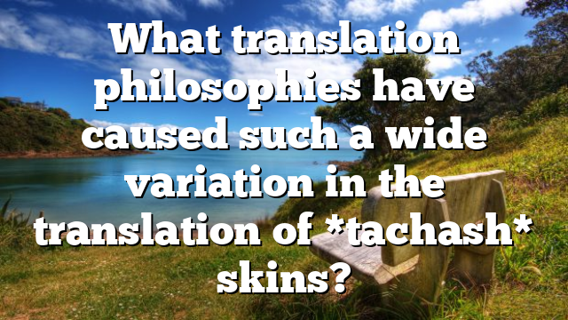 What translation philosophies have caused such a wide variation in the translation of *tachash* skins?
