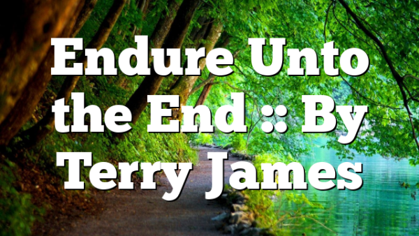Endure Unto the End :: By Terry James