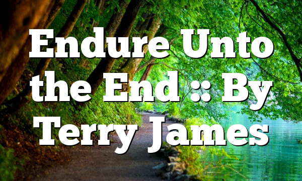 Endure Unto the End :: By Terry James