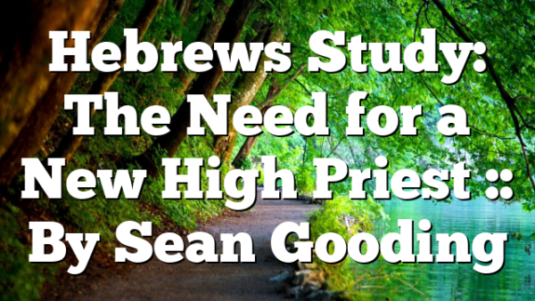 Hebrews Study: The Need for a New High Priest :: By Sean Gooding