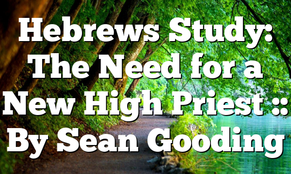 Hebrews Study: The Need for a New High Priest :: By Sean Gooding