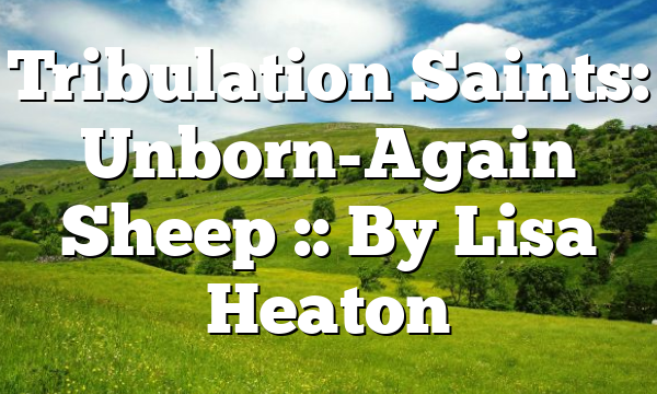 Tribulation Saints: Unborn-Again Sheep :: By Lisa Heaton