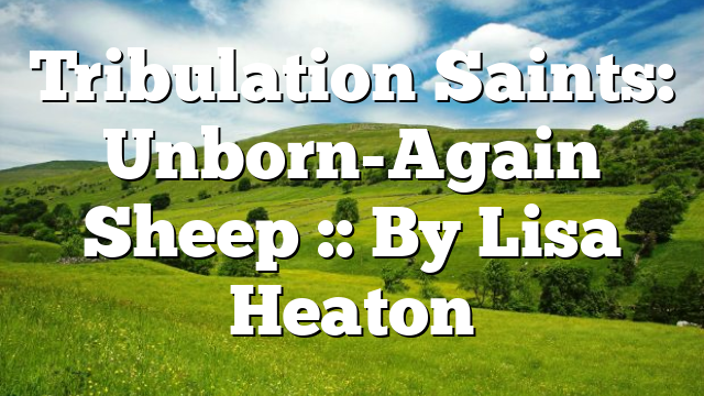 Tribulation Saints: Unborn-Again Sheep :: By Lisa Heaton