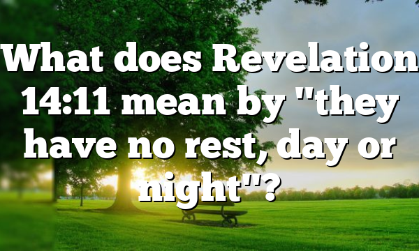 What does Revelation 14:11 mean by "they have no rest, day or night"?