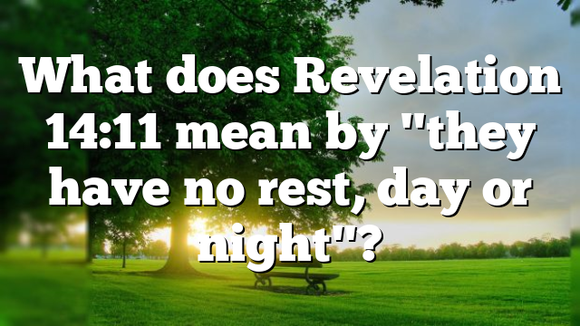 What does Revelation 14:11 mean by "they have no rest, day or night"?