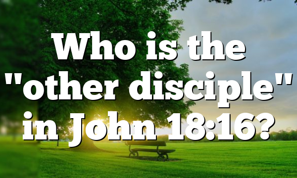 Who is the "other disciple" in John 18:16?