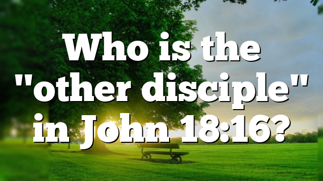 Who is the "other disciple" in John 18:16?