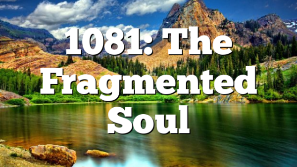 1081: The Fragmented Soul