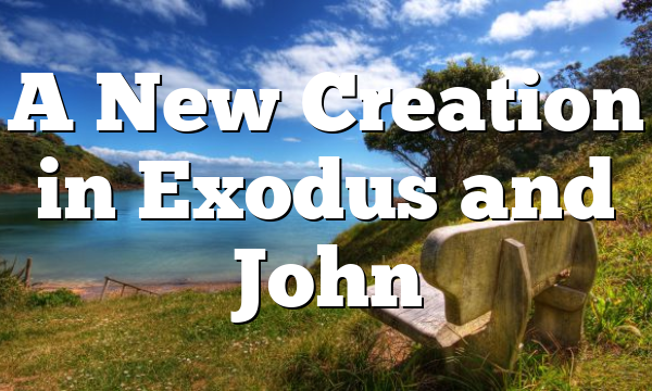 A New Creation in Exodus and John