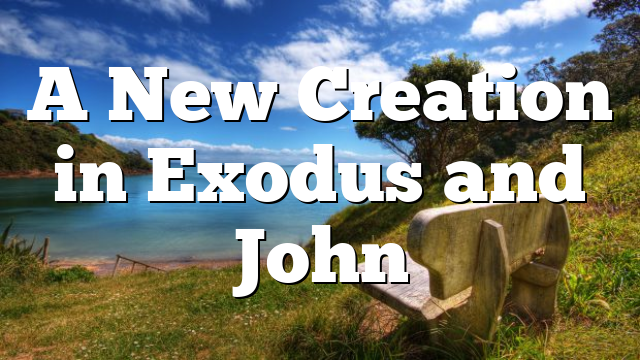 A New Creation in Exodus and John