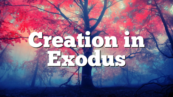 Creation in Exodus