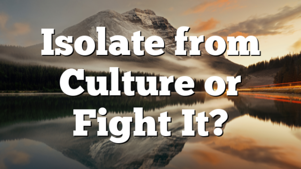 Isolate from Culture or Fight It?