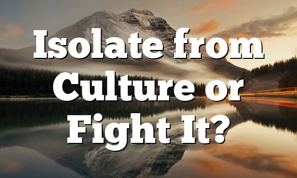 Isolate from Culture or Fight It?