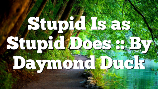 Stupid Is as Stupid Does :: By Daymond Duck