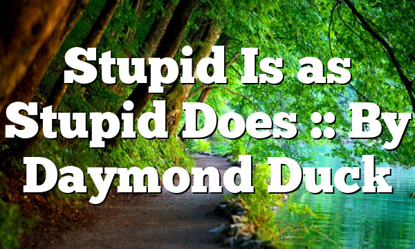 Stupid Is as Stupid Does :: By Daymond Duck