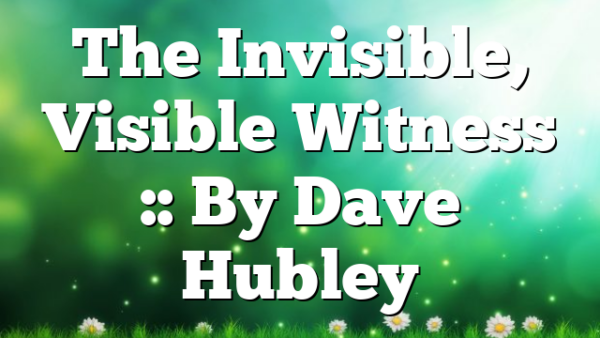 The Invisible, Visible Witness :: By Dave Hubley