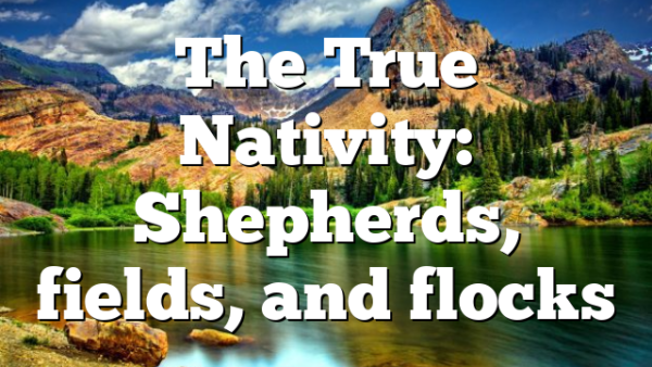 The True Nativity: Shepherds, fields, and flocks