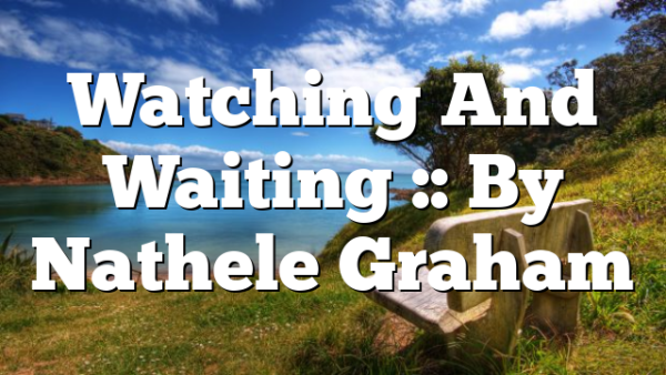 Watching And Waiting :: By Nathele Graham