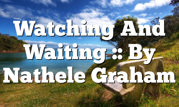 Watching And Waiting :: By Nathele Graham