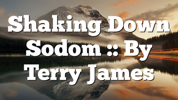 Shaking Down Sodom :: By Terry James