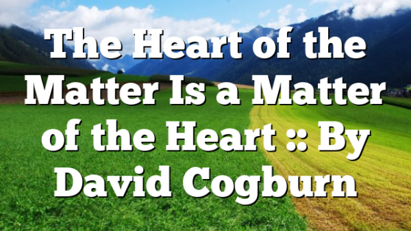 The Heart of the Matter Is a Matter of the Heart :: By David Cogburn