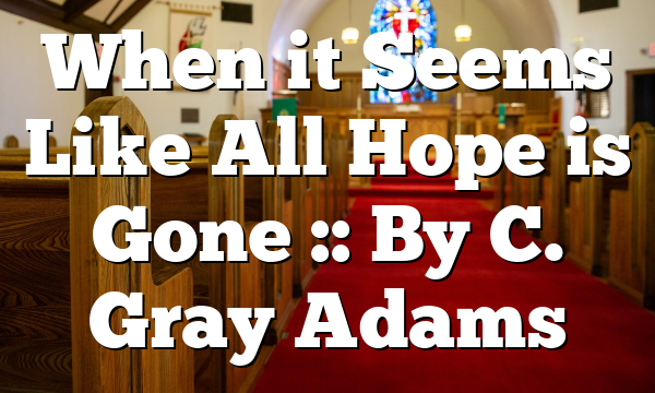 When it Seems Like All Hope is Gone :: By C. Gray Adams