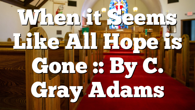 When it Seems Like All Hope is Gone :: By C. Gray Adams