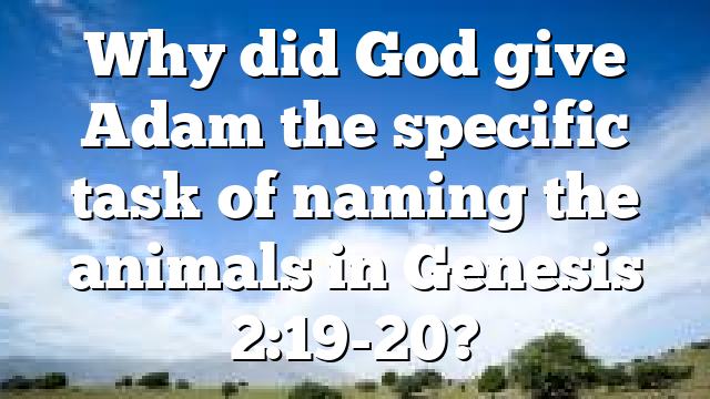 Why did God give Adam the specific task of naming the animals in Genesis 2:19-20?