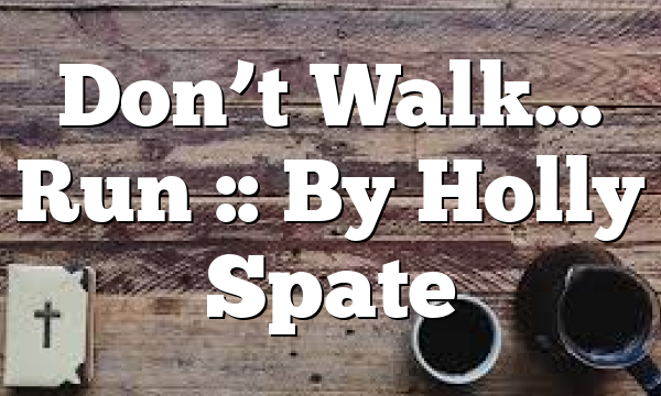 Don’t Walk… Run :: By Holly Spate