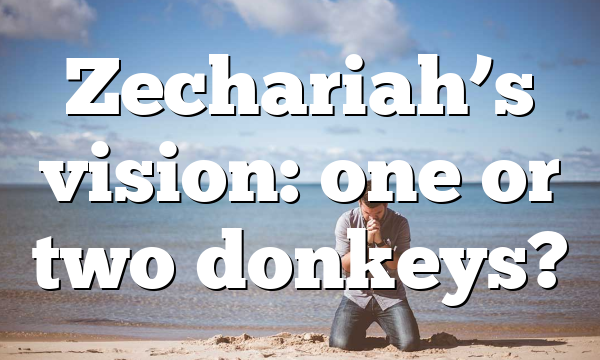 Zechariah’s vision: one or two donkeys?