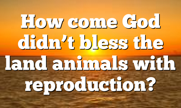 How come God didn’t bless the land animals with reproduction?