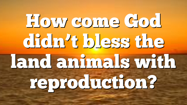 How come God didn’t bless the land animals with reproduction?