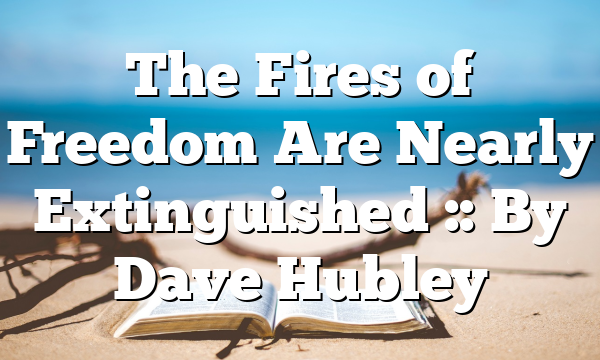 The Fires of Freedom Are Nearly Extinguished :: By Dave Hubley