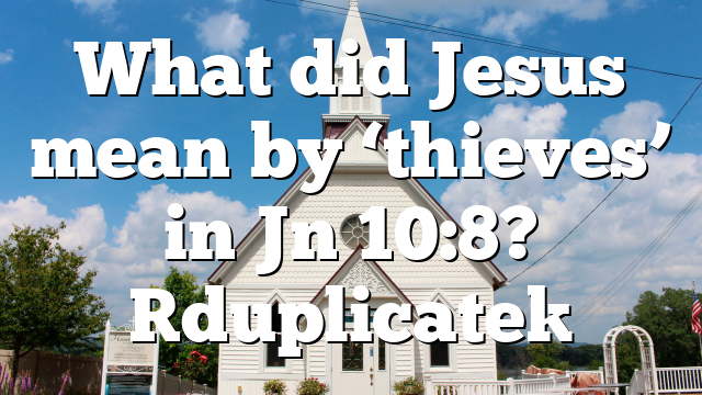 What did Jesus mean by ‘thieves’ in Jn 10:8? [duplicate]