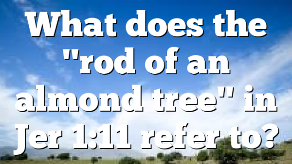 What does the "rod of an almond tree" in Jer 1:11 refer to?