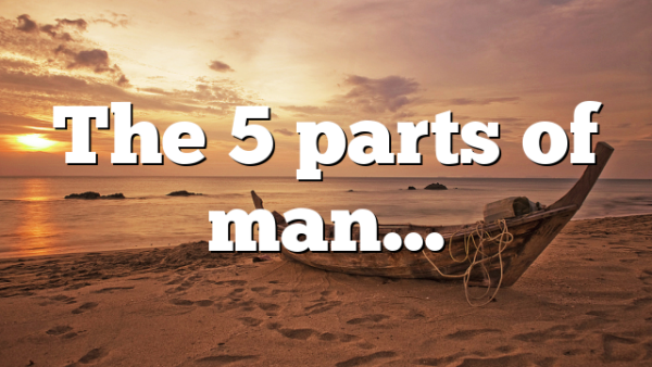 The 5 parts of man…